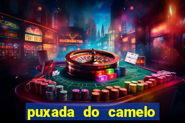 puxada do camelo no jogo do bicho